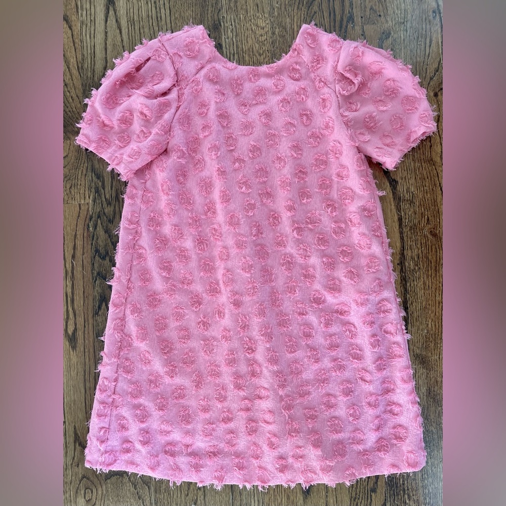 Zara Pink Dress 12